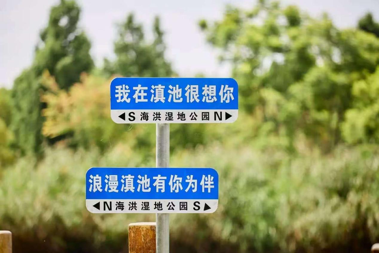 微信图片8