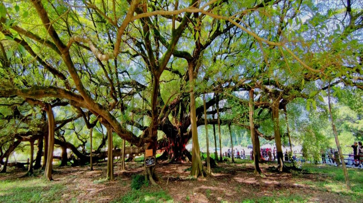 cef3582e3a984de6eb7a74bb8fd49ec9