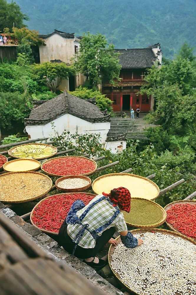微信图片3