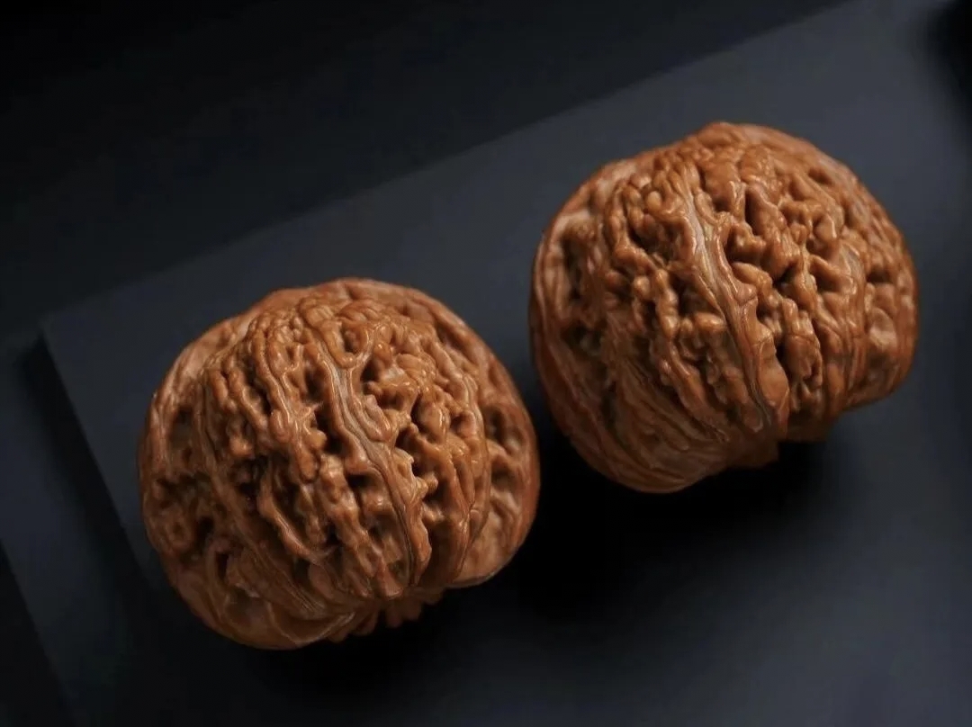 Palm of the World - Antique Walnuts