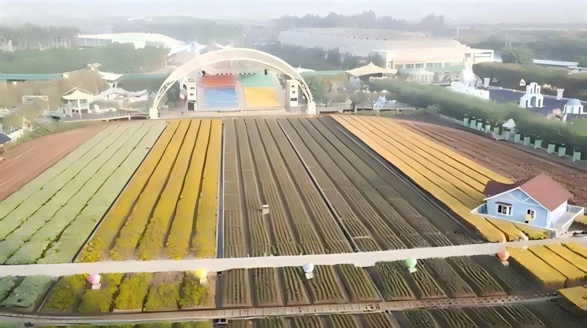 Shouguang, Hometown of Vegetables in China: Connecting the World Through Vegetables