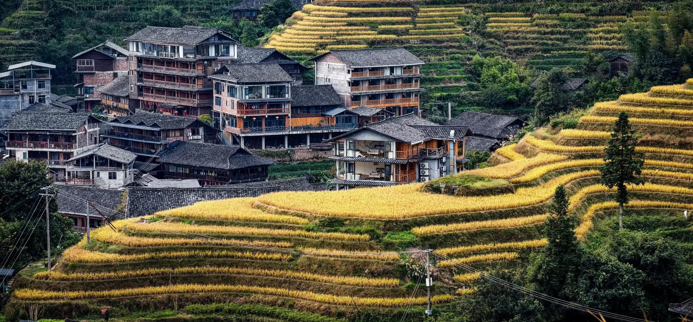 Longji Rice Terraces: A Masterpiece of Agriculture and Nature in Guilin
