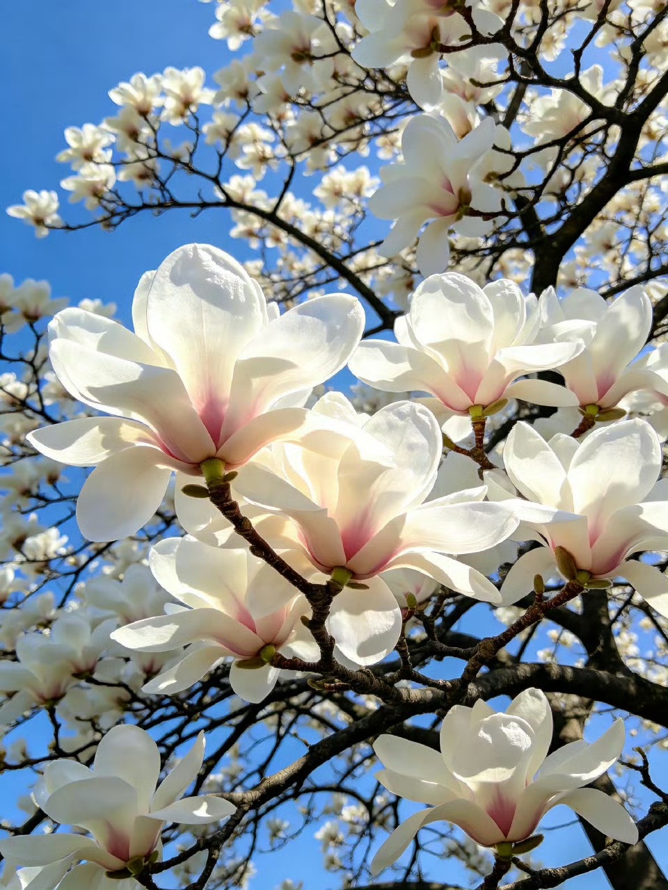 微信图片_20260320083307_9_69