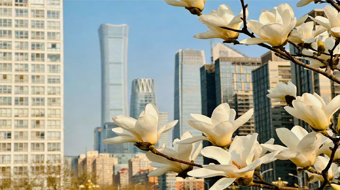 微信图片_20260319163713_5_69